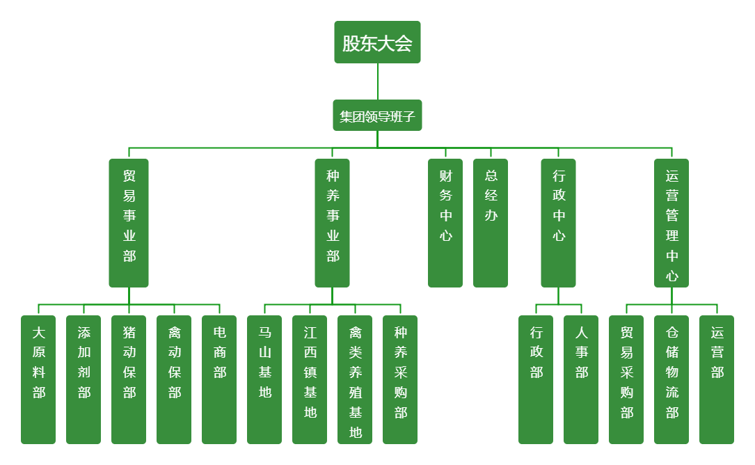 菲賽迪集團(tuán)架構(gòu)圖